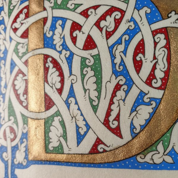 Illuminated letter D "white vine