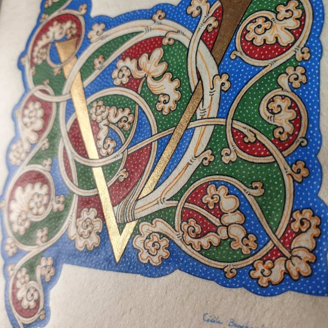 Illuminated letter V "white vine