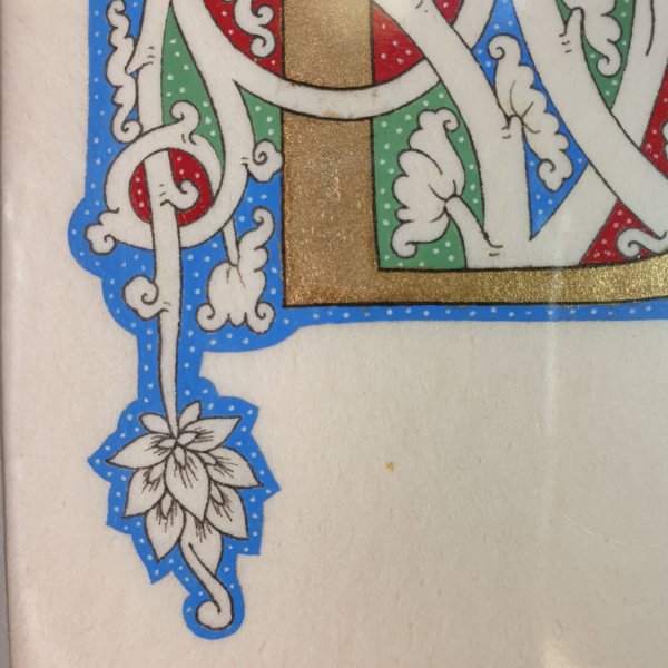Illuminated letter D "white vine