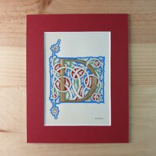 Illuminated letter D "white vine